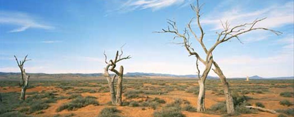 go walkabout in arnhemland